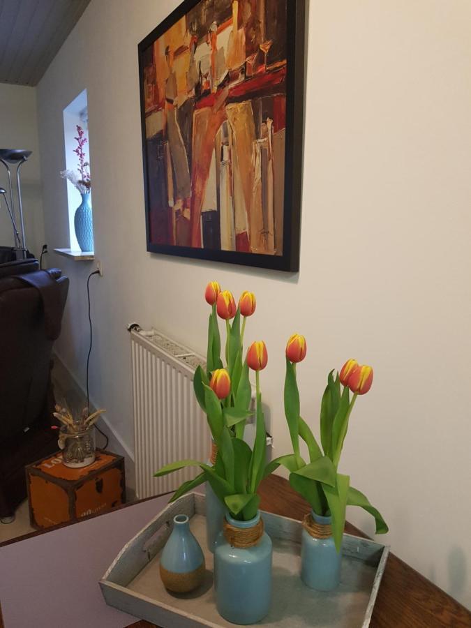 Apartament Op Ut Schoor Sint-Oedenrode Zewnętrze zdjęcie